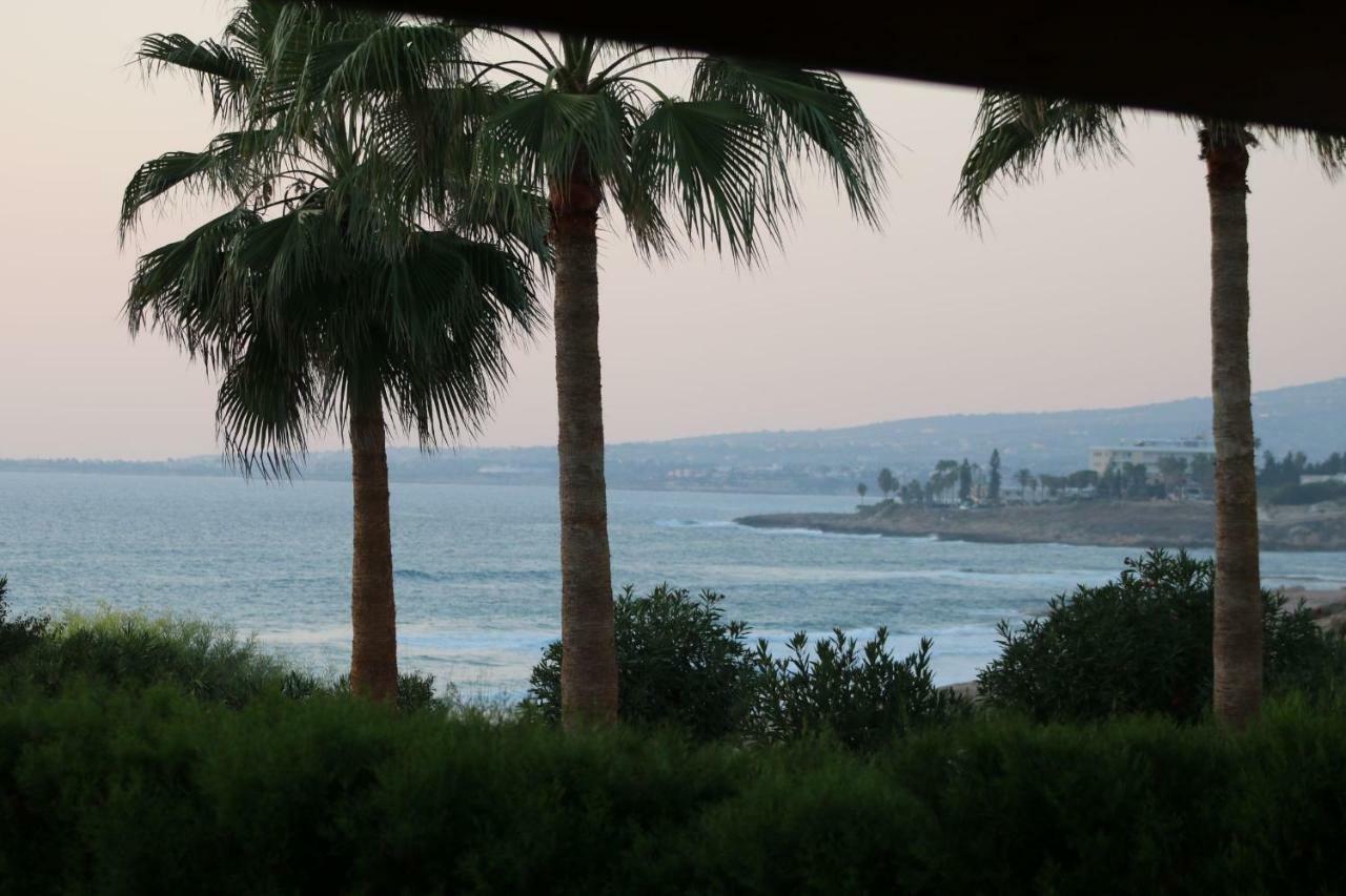 Yulya Villa By Taimoura Paphos Extérieur photo