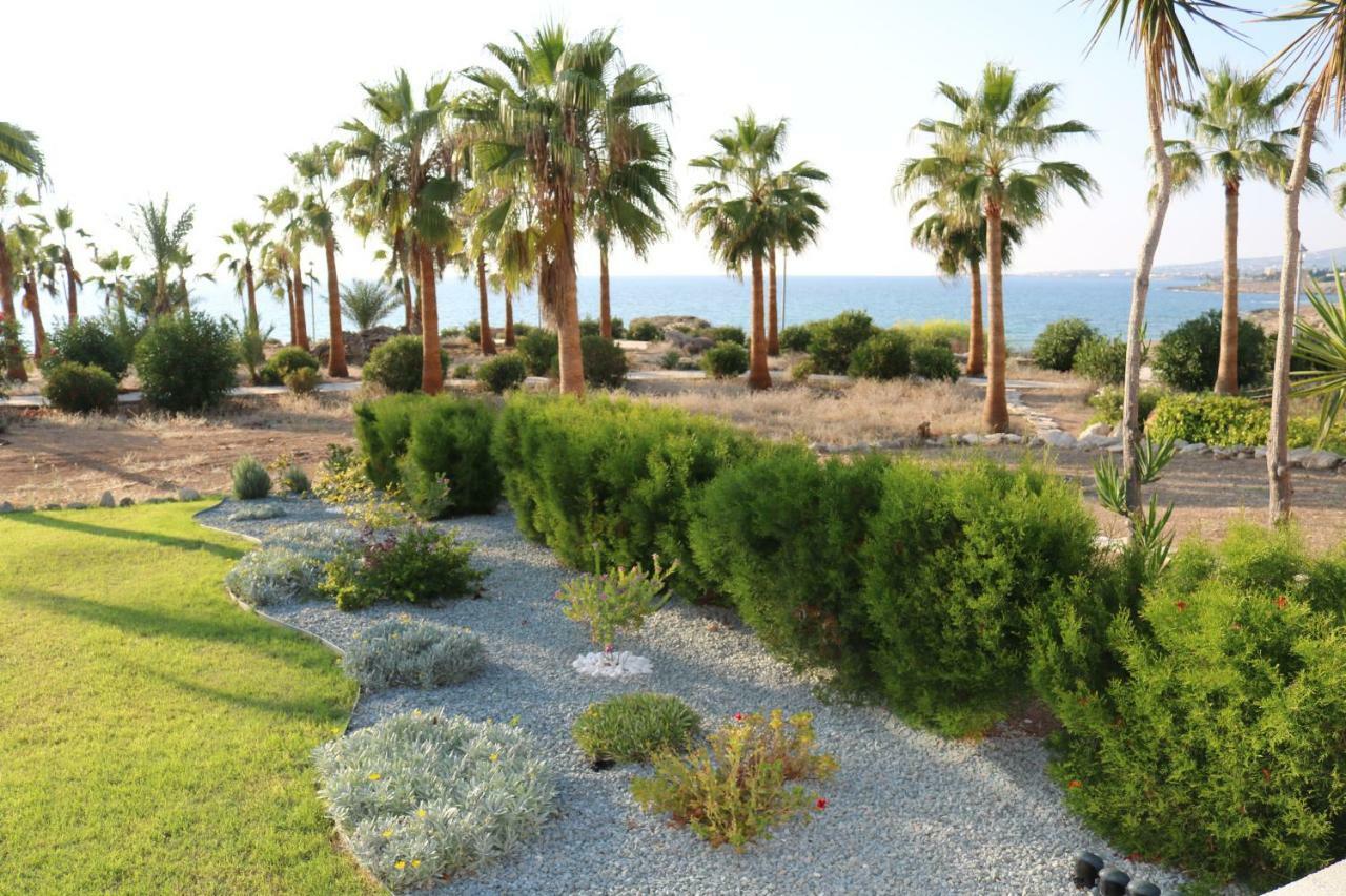 Yulya Villa By Taimoura Paphos Extérieur photo